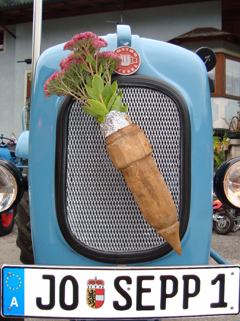 Traktor WM 2009 019